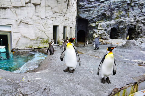 Sapporo: Asahiyama Zoo, Blue Pond, & Farm Tomita Tour