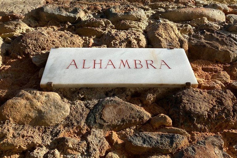 Granada: Alhambra Fast-Track Ticket and Guided Tour by Night