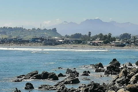 Santiago: Valparaíso and Viña del Mar Private Day Trip