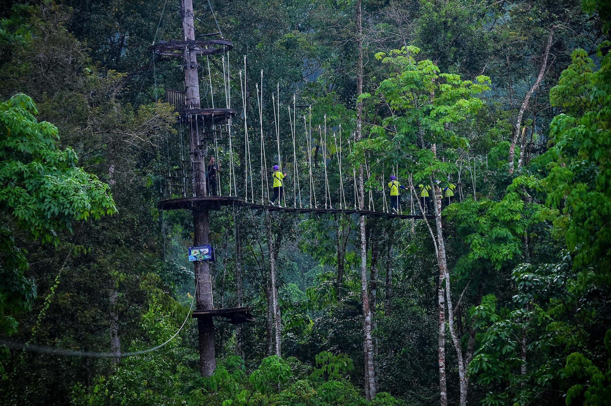 Nha Trang: Zipline Canopy im Kong Forest