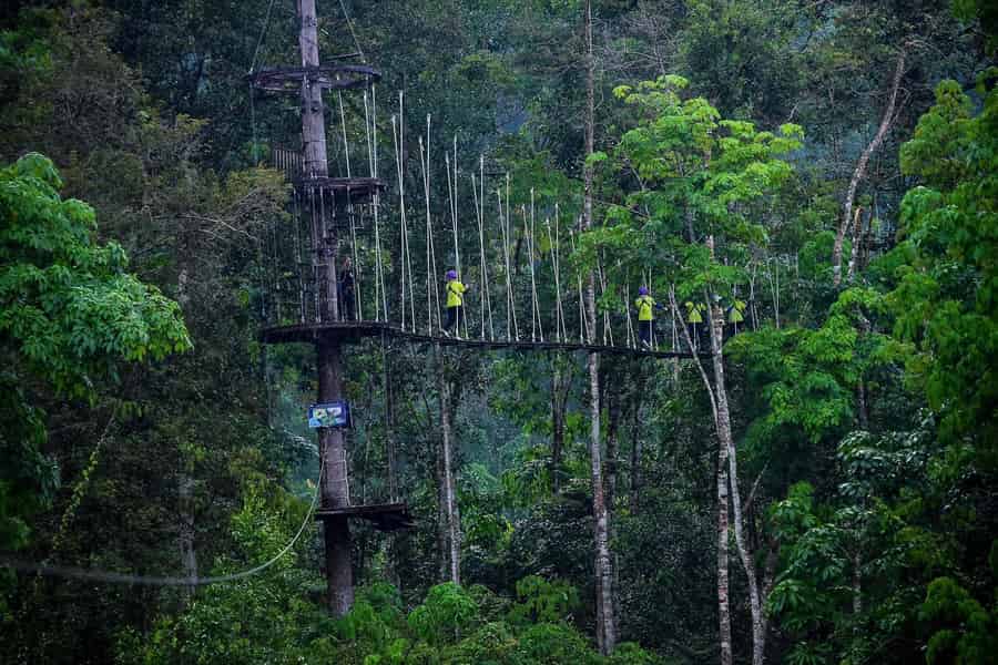 Nha Trang: Zipline Canopy im Kong Forest. Foto: GetYourGuide Nha Trang: Zipline Canopy im Kong Forest. Foto: GetYourGuide