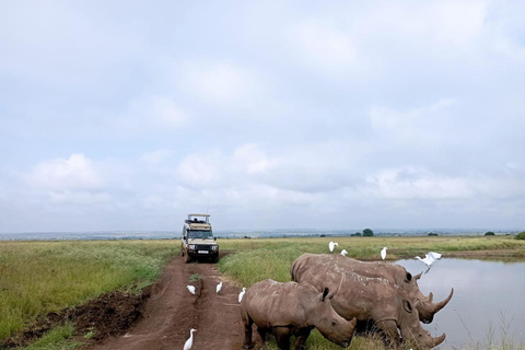 Nairobi: National Park Half-Day Group Tour with Pickup