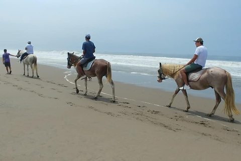 Pachacamac Sanctuary from Lima | Half Day Tour