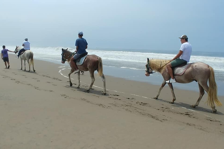 Pachacamac Sanctuary from Lima | Half Day Tour
