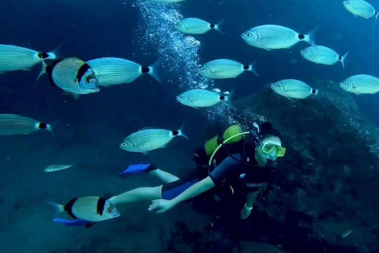 Alanya: Cleopatra Beach Sunset Scuba Diving Experience
