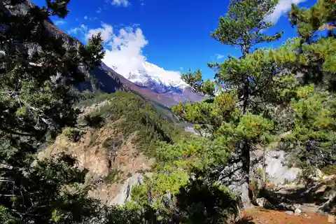 Circuito dell'Annapurna Trek 10 giorni da Kathmandu o Pokhara