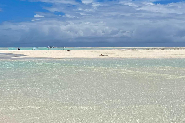 Zanzibar: Mnemba Blue Safari i spotkanie z delfinamiMnemba: delfiny i rafa – wycieczka grupowa