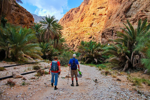 From Muscat: Private Wadi Shab & Bamah Sinkhole Day Trip Wadi Shab Adventure & Bamah Sinkhole –Oman’s Natural Wonders