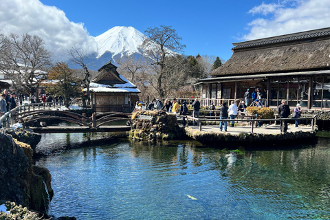 Depuis Tokyo/Yokohama : Excursion privée d'une journée au Mont Fuji et à Hakone