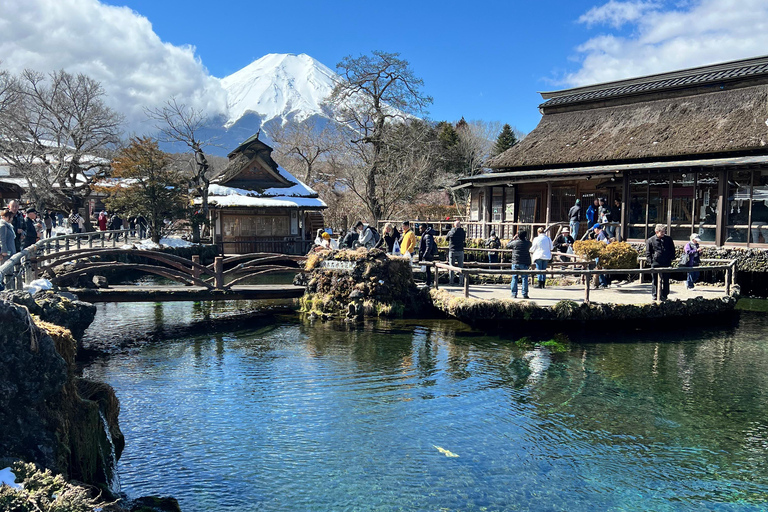 Depuis Tokyo/Yokohama : Excursion privée d'une journée au Mont Fuji et à Hakone