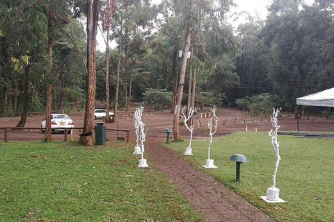 Nairobi: Karura Forest Walk & Waterfall Experience Tour