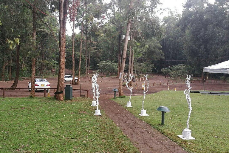 Nairobi: Karura Forest Walk & Waterfall Experience Tour