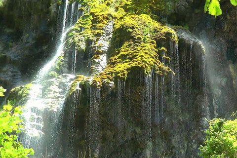 Desde Niza: Gargantas del Verdon y Campos de Lavanda Excursión y Transporte