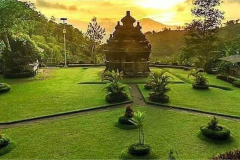 Yogyakarta : Temple Selogriyo et randonnée dans les rizières en terrasses de Java