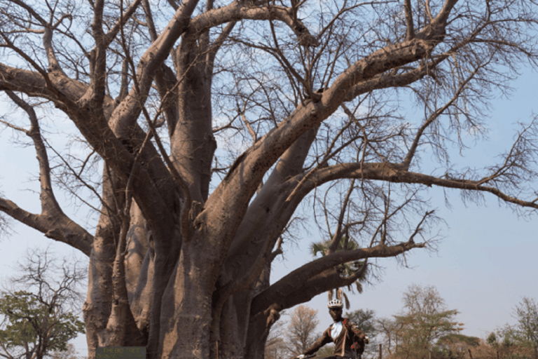 Victoria Falls: Guided Bicycle Tour with Local Guide