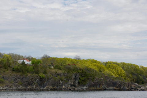 Oslofjord: Three Islands Cruise—Summer Culture & Sea Breeze