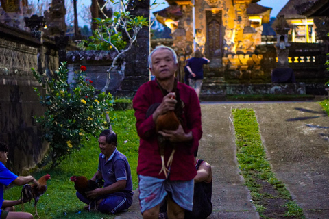 Bali: Magical Night Firefly Tour & Authentic Culture insight