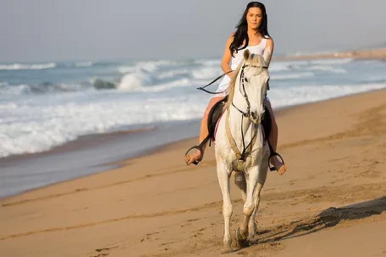 Chukka Horseback Ride &amp; Swim from Montego BayHorseback Ride &amp; Swim