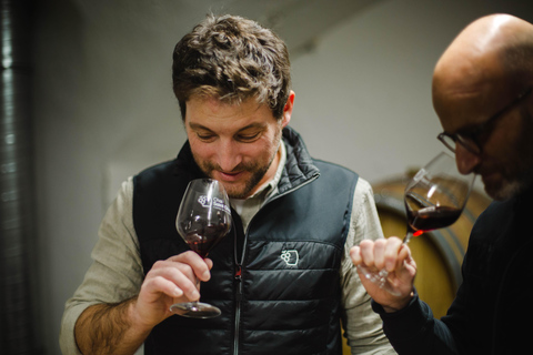 Lyon: Tour and Wine Tasting at Chai Saint Olive Lyon: Tour and Food Tasting at Chai Saint Olive