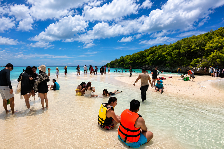 Cebu: Whale Sharks, Sumilon & Pescador Island Tour