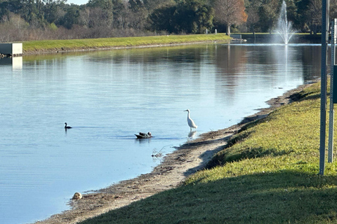 Kissimmee: Self-Guided Lakefront Tour on Electric Bike