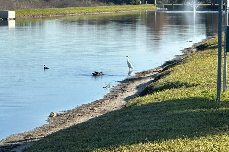 Kissimmee: Self-Guided Lakefront Tour on Electric Bike