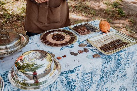 Bariloche: Chocolate Tasting, Exotic & Regional Flavors