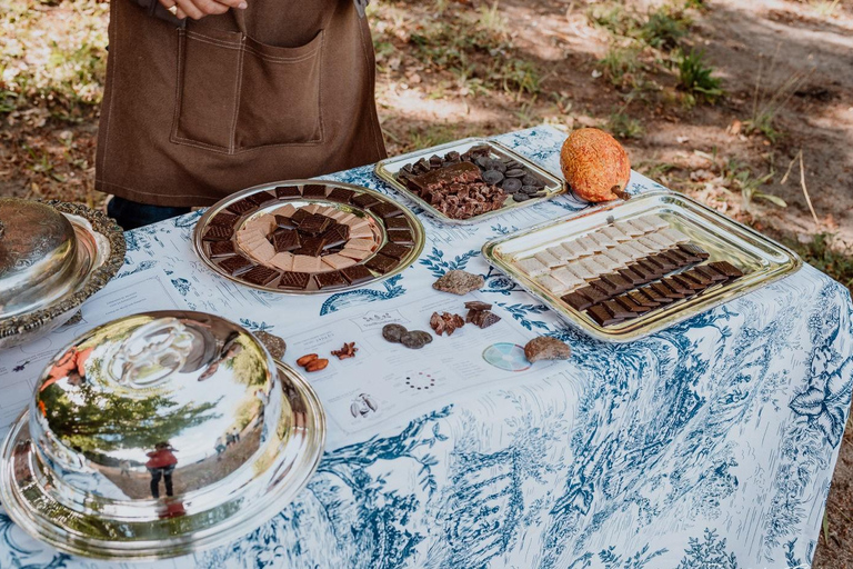 Bariloche: Chocolate Tasting, Exotic & Regional Flavors