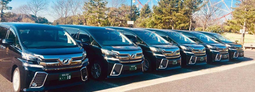 Tokyo: trasferimento privato da e per l'aeroporto di Narita (NRT) per 1-9 persone
