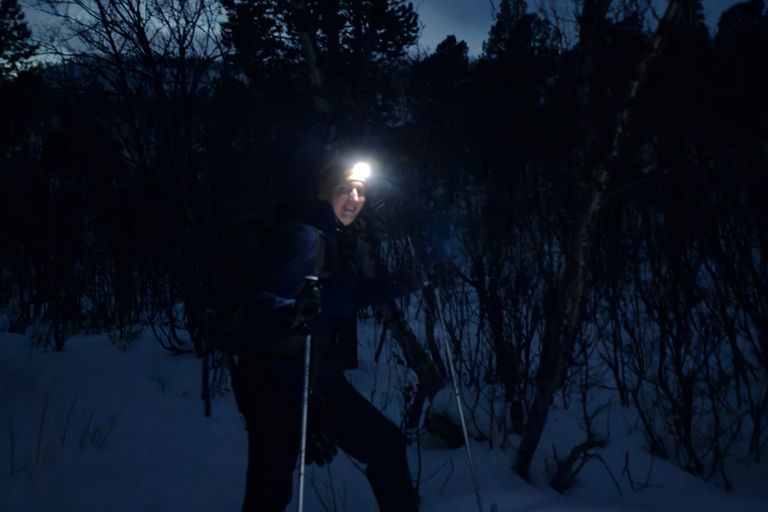 Abisko: Aurora Night & Swedish Glögg - Snowshoe Experience