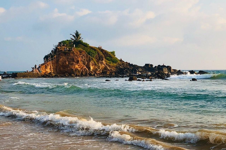 From Colombo: Mirissa Coconut Tree Hill, Beach & Rock Tour