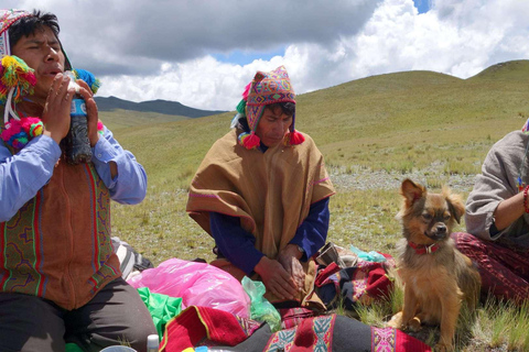 Cusco: Ayahuasca Retreat, 5 Days