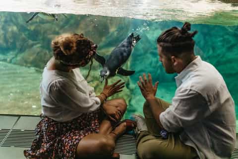 Aquarium of Genoa: Timeslot Ticket