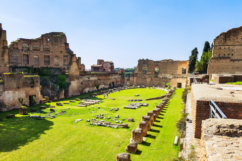Rome: Colosseum, Roman Forum & Palatine Hill Tour Colosseum, Forum, and Palatine Hill Guided Tour in Italian