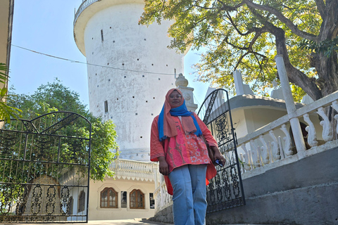 From Kandy: Pinnawala Elephants & Ambuluwawa Tower Day Tour From Kandy: Ambuluwawa Tower private tour by car/mini van 02