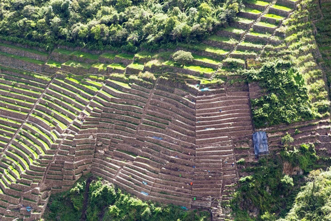 From Cusco: 4-Day Choquequirao Trek - All included