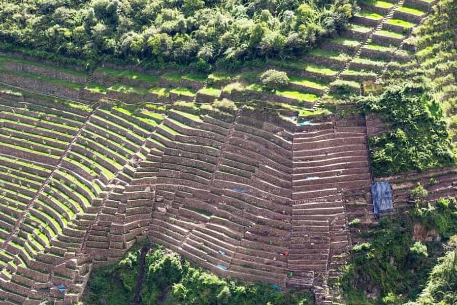 Ab Cusco: 4-tägiger Choquequirao-Trek - Alles inklusive. Foto: GetYourGuide