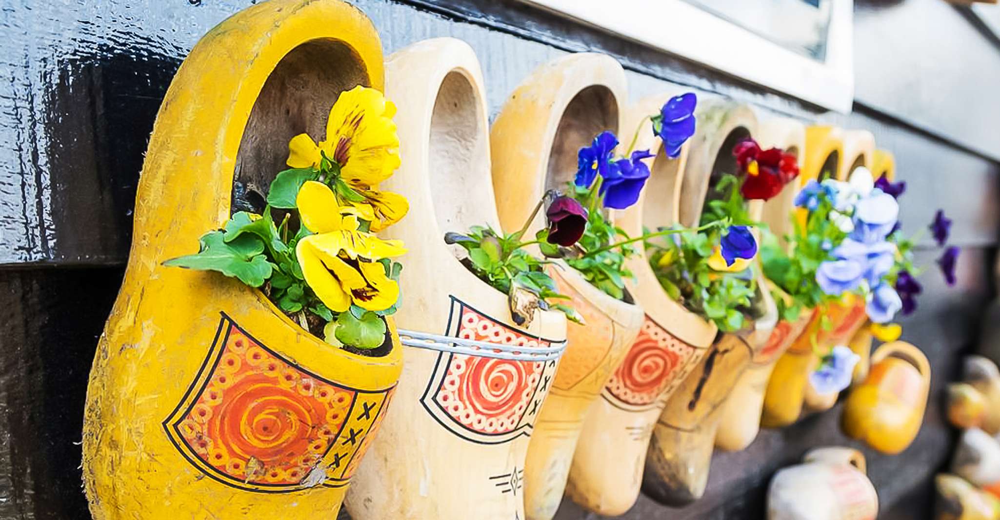 Amsterdam: Zaanse Schans, Edam, Volendam & Marken Bus Tour photo 7