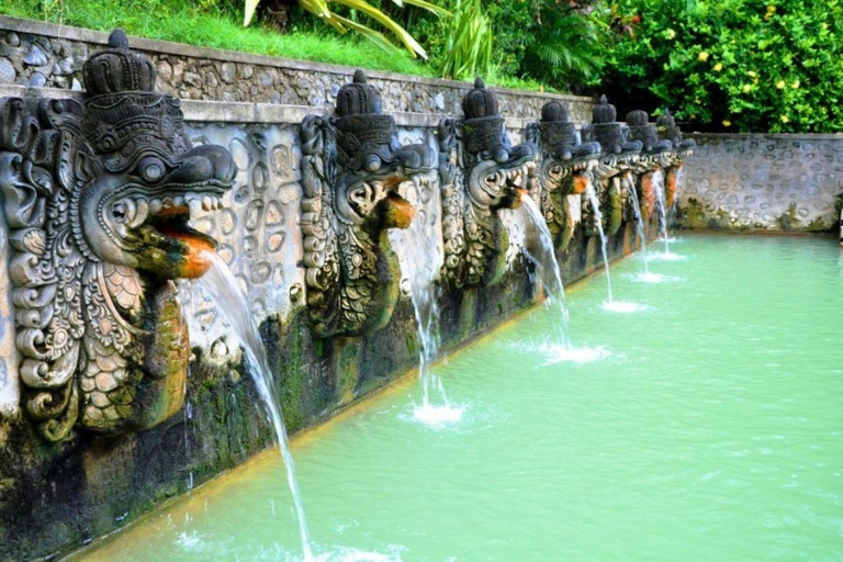 North Bali: Private Customizable Day Tour (All-Inclusive) make your own favorite itenerary