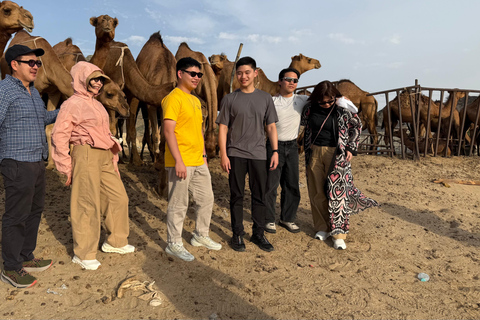 From Jeddah: Desert Tour with Camel Farm Visit & Sunset Tea
