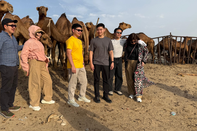 From Jeddah: Desert Tour with Camel Farm Visit & Sunset Tea