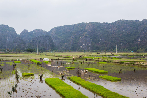 Tour in E-Bike di Ninh Binh - Paesaggi segreti di Tam Coc