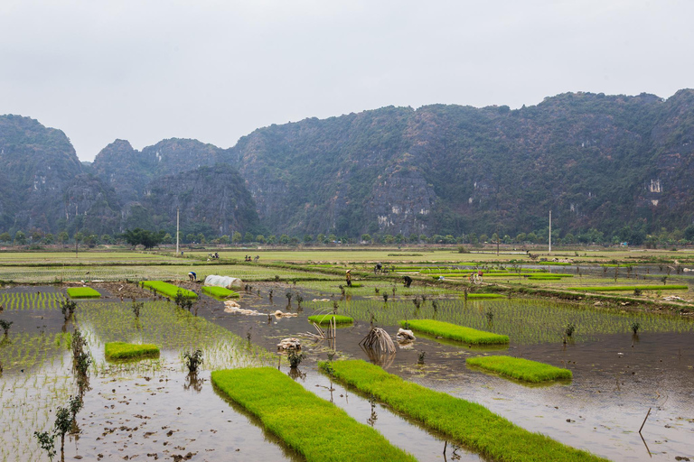 Tour in E-Bike di Ninh Binh - Paesaggi segreti di Tam Coc
