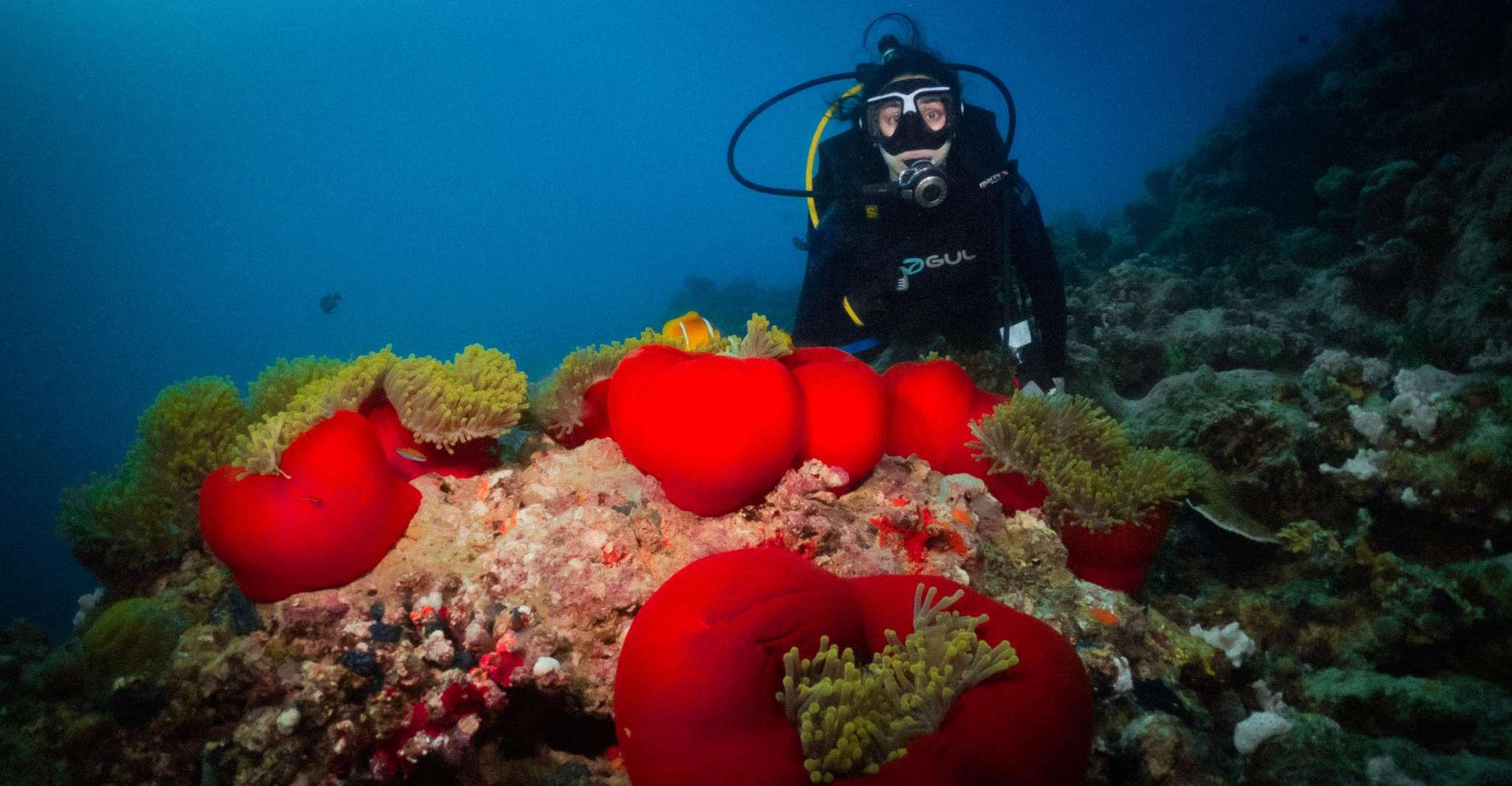 From Jeddah: Boat Trip and Diving for Certified Divers photo 3