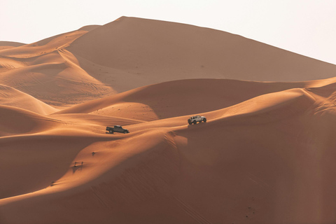 Namibia: Pelican Point & Long Beach Dunes Self-Drive Tour