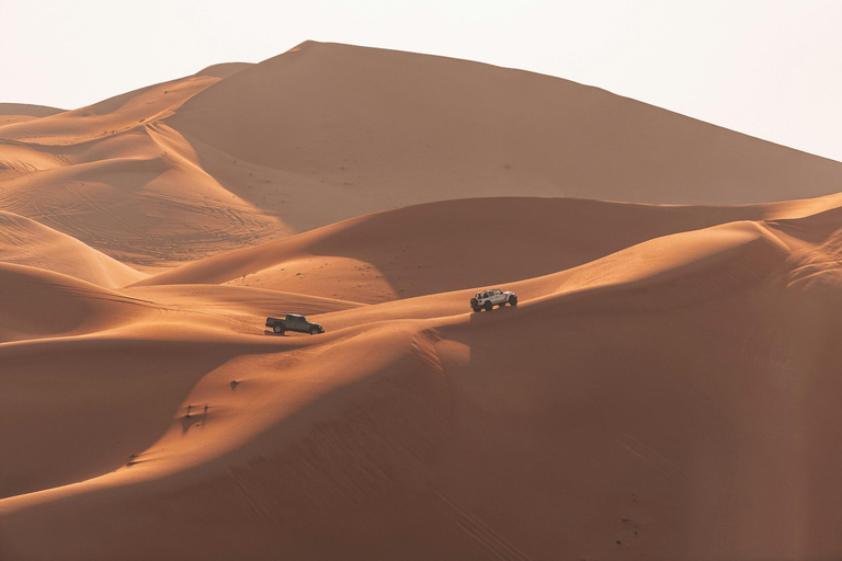 Namibia: Pelican Point & Long Beach Dunes Self-Drive Tour