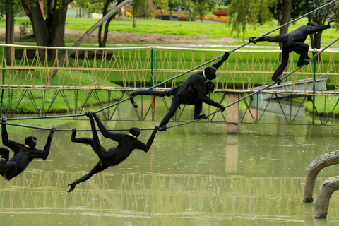 Depuis Bogota : Parc Jaime Duque et zoo avec billet inclus