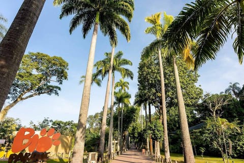 Rio de Janeiro: Bioparque and All-You-Can-Eat Pizza with Ice Cream