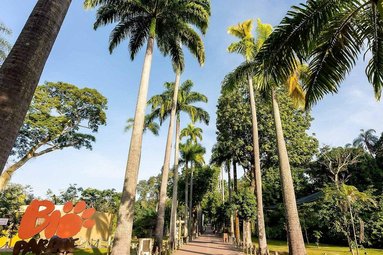 Rio de Janeiro: Bioparque and All-You-Can-Eat Pizza with Ice Cream Rio de Janeiro: Biopark and Pizza Buffet with Ice Cream