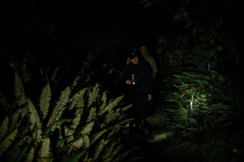 Stewart Island: Wild Kiwi Experiences Stewart Island: Wild Kiwi Encounter